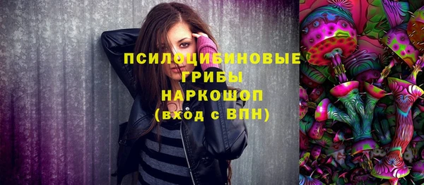 тгк Снежногорск