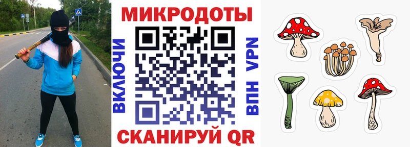 Псилоцибиновые грибы Psilocybine cubensis  Геленджик 